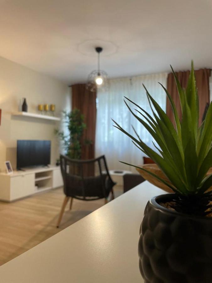 Apartamento Jerez 2022 Jerez de la Frontera Luaran gambar